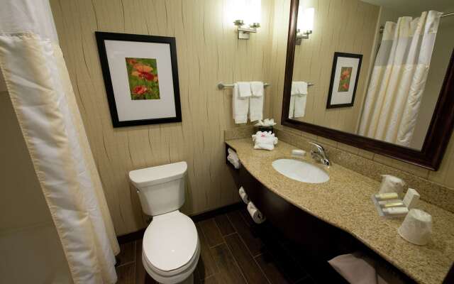 Hilton Garden Inn Dayton South-Austin Landing