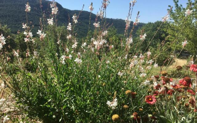 Villa Câline chambres d'hôtes