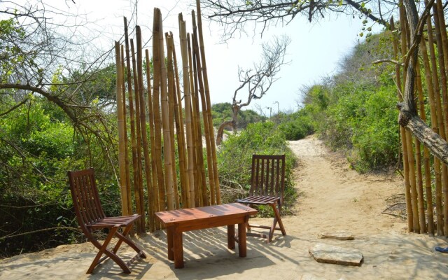 Back of Beyond Dune Camp - Yala