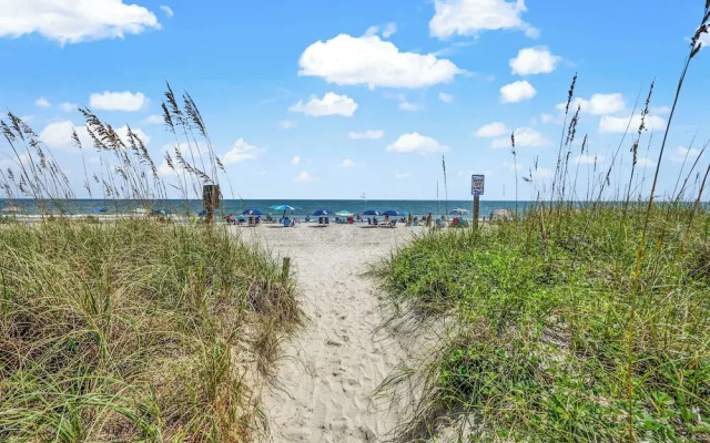 Tilghman Beach 316