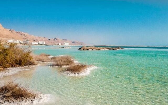 Zimmer Dora Dead Sea