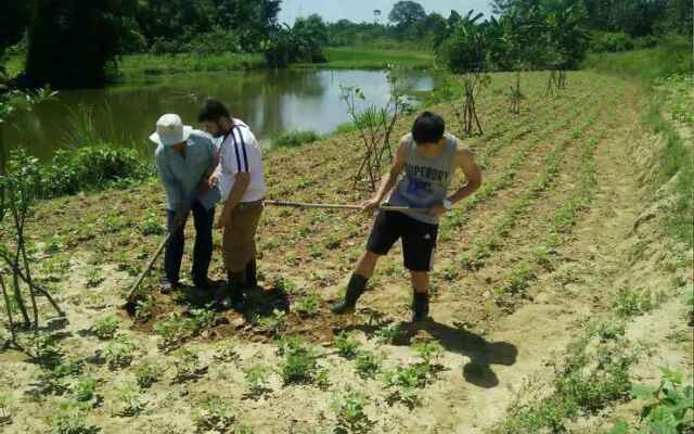 Thuy Bieu Homestay