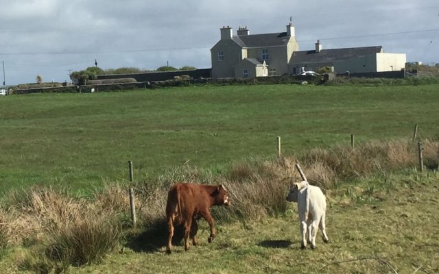 Berrylodge Country House