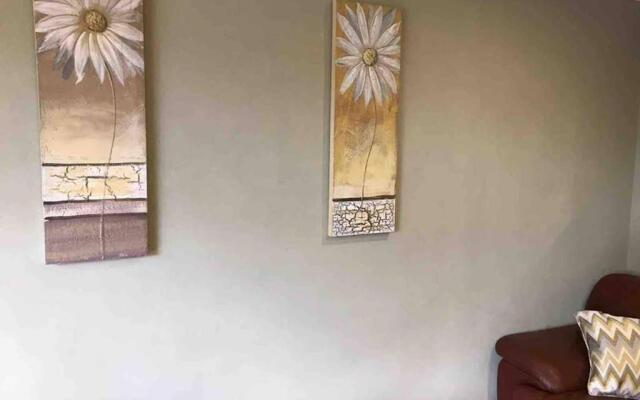 Bangor Home from Home 2bed house