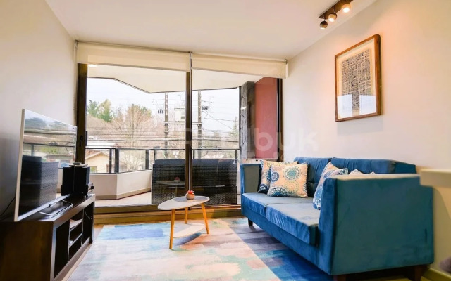 Nuevo y hermoso depto en Pucón