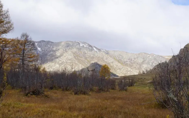 My Mongolia Eco Ger Camp
