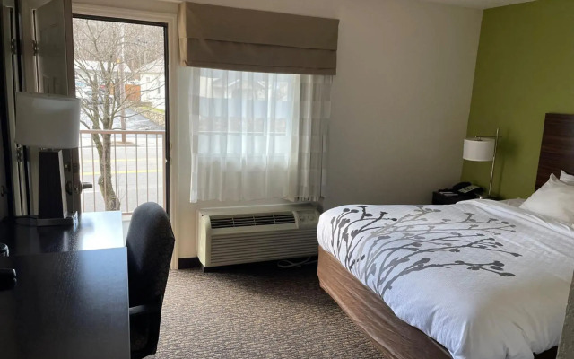 Sleep Inn & Suites near Sports World Blvd