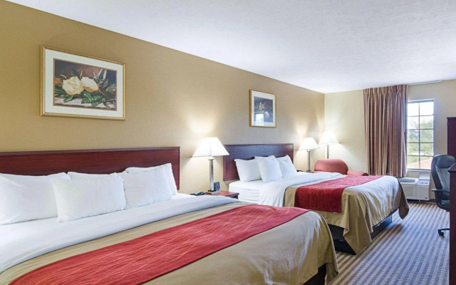 Comfort Inn New River