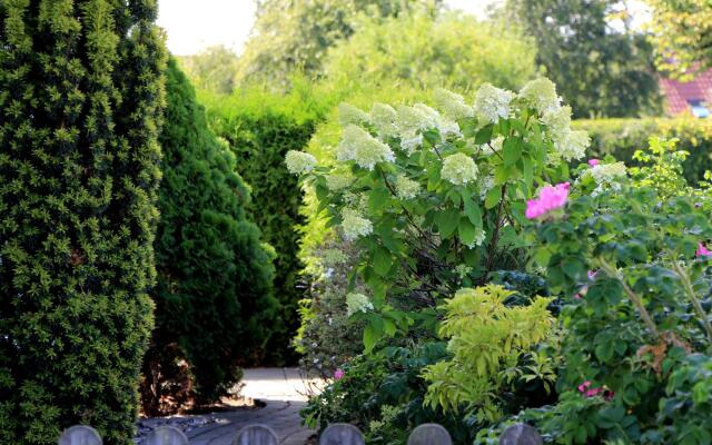 Flat on the Island of Poel With Sauna