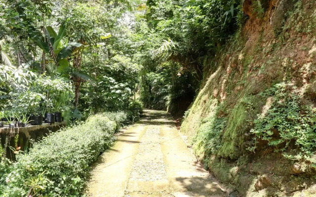 Homestay Yoto - Hostel