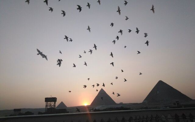 Sunny Pyramids View