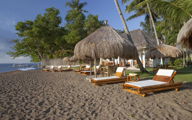 Pura Vida Beach & Dive Resort