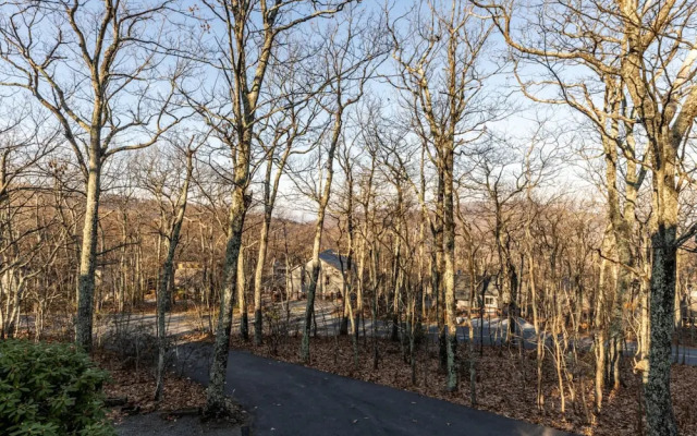 Wintergreen Retreat Jacuzzi Sauna dog Friendly