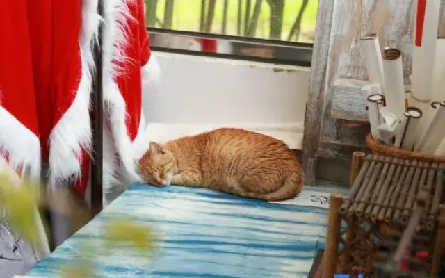 Shanghai Jiuyuan Caotang Homestay