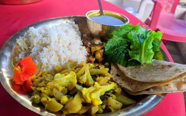 Hasera Organic Farmstay: Farm to Table & Mountain View