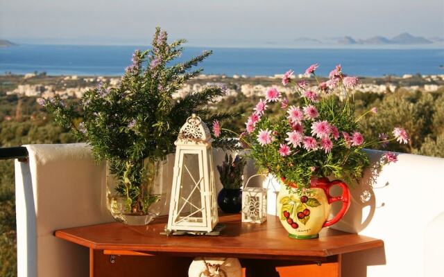 The Olive Branch Villa