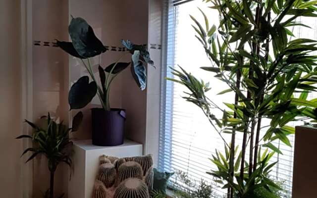 B&B Anlooase