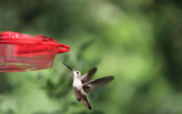 The Sanctuary Retreat & Spa