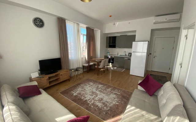 Business-friendly Flat With Central Location in Fikirtepe