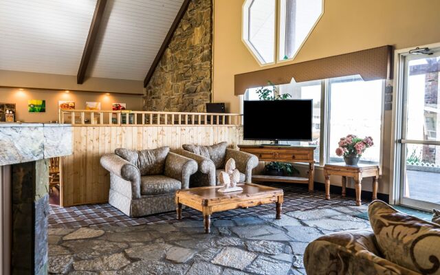 Ocean Paradise Hotel & Resort