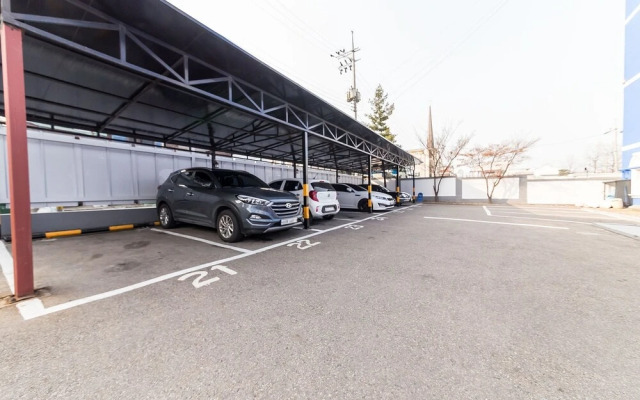 Suwon Ivy