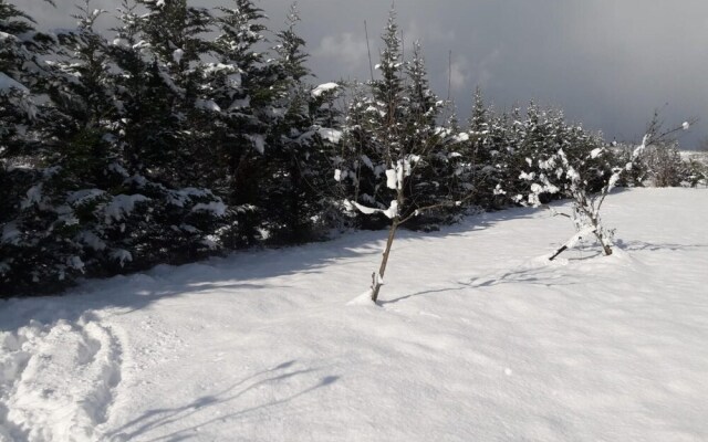 House With Backyard and Winter Garden in Agva