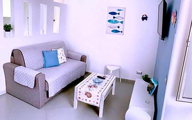 B&B Starview