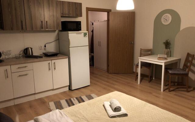 Apartments in Pesochny