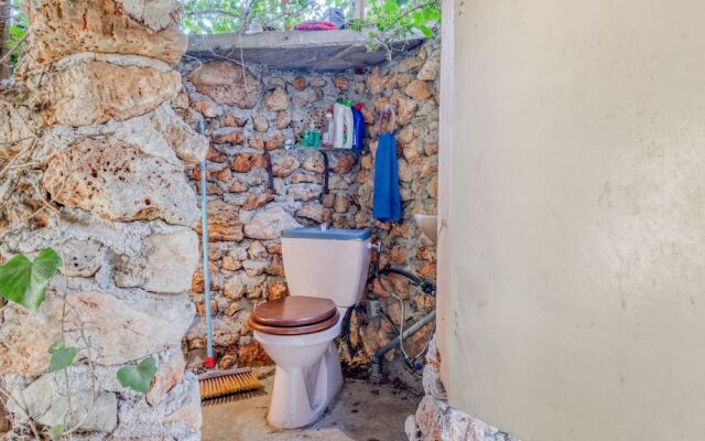 Beautiful Pet-friendly Villa in Régusse With Swimming Pool"