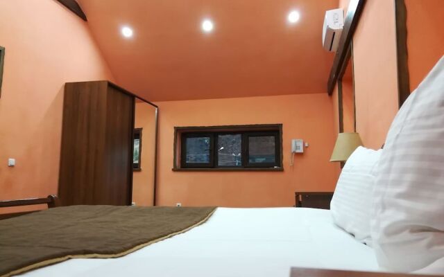 Art Garden Hostel and Tours