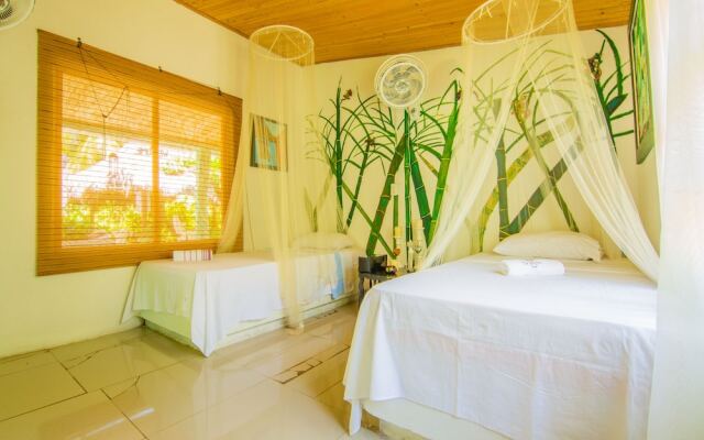 Eco Hotel Casa Lola - Hostel