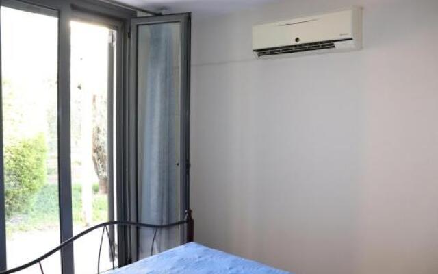 Vassia 1