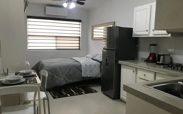 Lofts De La Calle Humboldt I