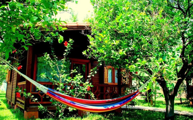 Baraka House
