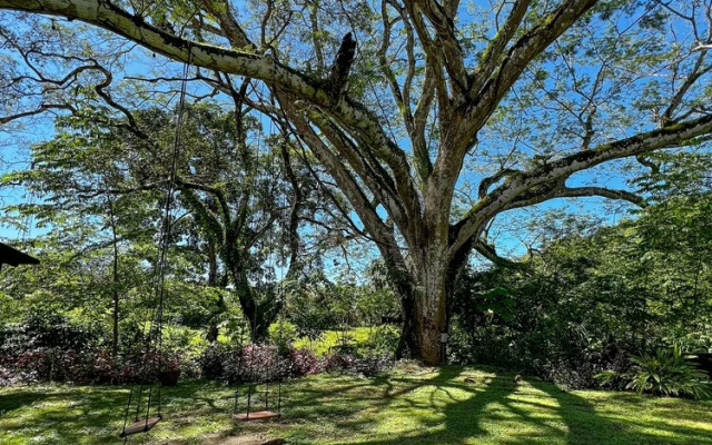 Nao Venao Boutique Hotel
