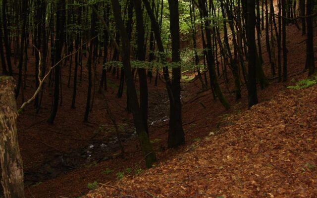 Hillside Cottage Near Winterberg