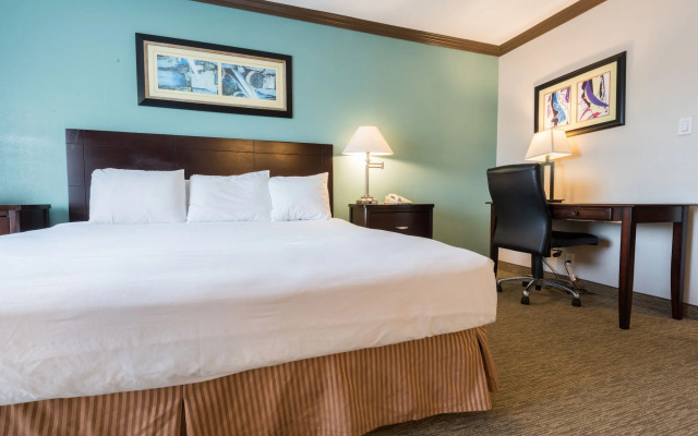 Vanllee Hotel and Suites