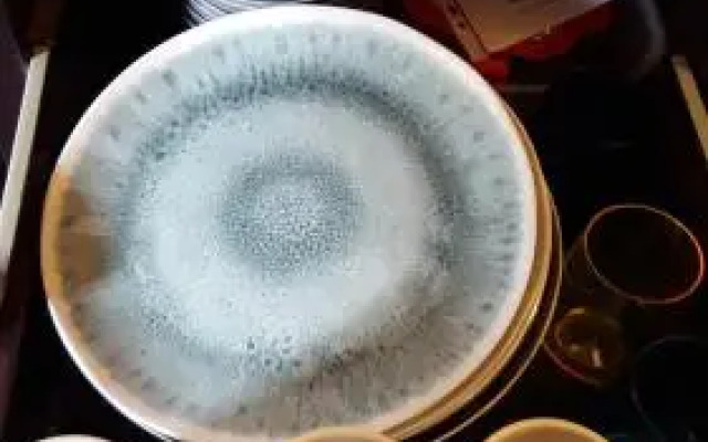 Wellington Beach Accommodation