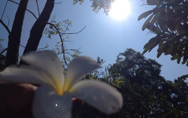 Kod-Pai Guest House