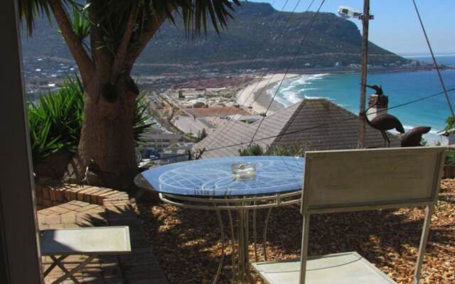 Watching Waves Heron Chase