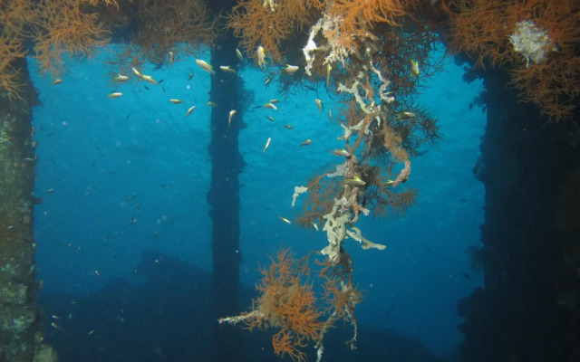 Abwonderdive-Bali Dive Resort