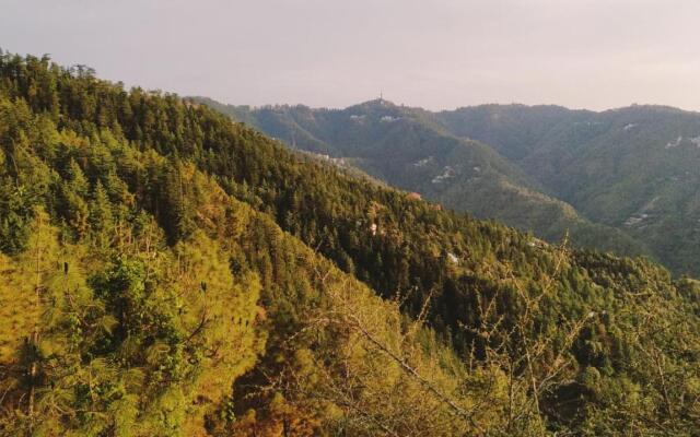 Hotel Hilton View Shimla