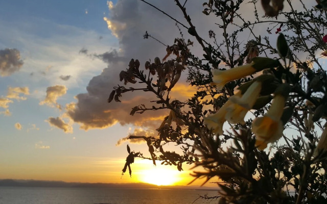 Ruphaq Wasi Lodge - Capachica - Llachon