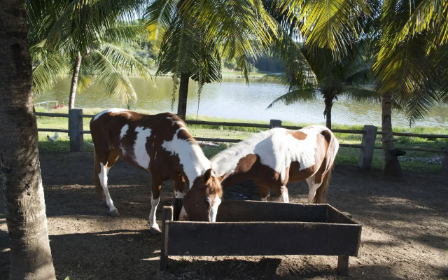 Fiore Resort e Residence