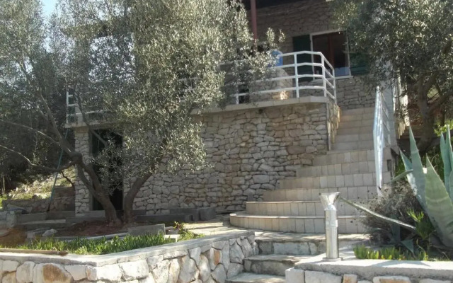 House Rhapsody In Blue