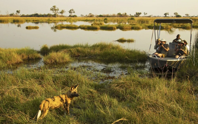 Selinda Camp