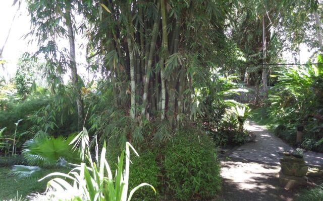 Sayan Terrace Resort