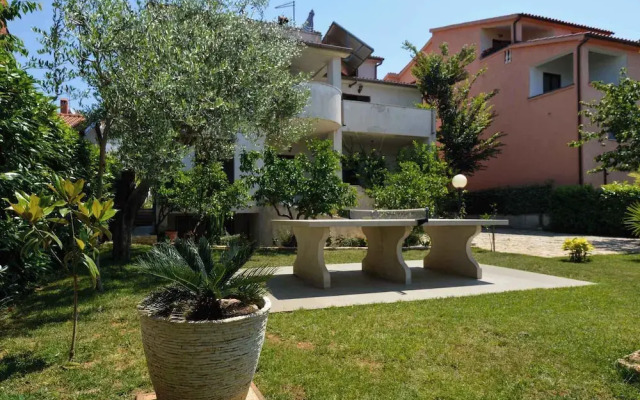 Apartments Pjescana Uvala/istrien 11166