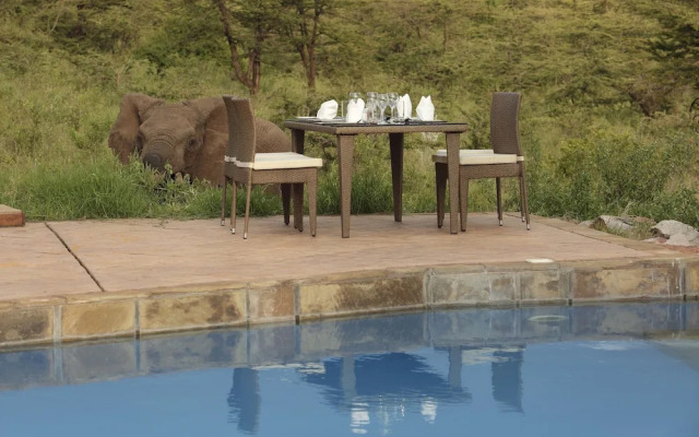 Spirit Of The Masai Mara