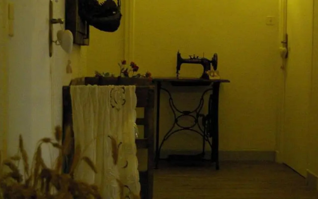 Les Dryades du Bois de Randan